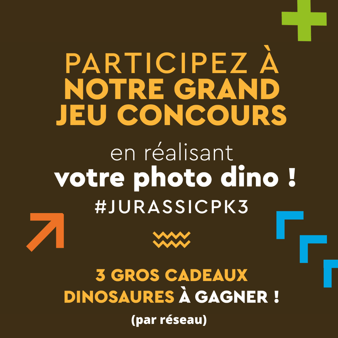 jeu-concours-dinosaure-pk3