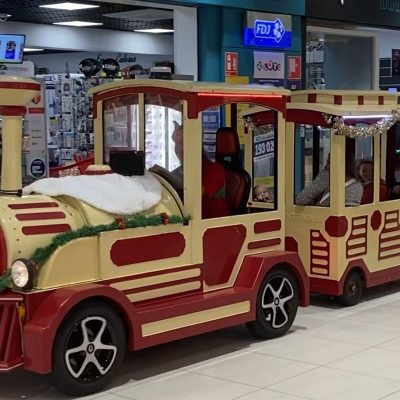 tout-petit-train-des-lutins